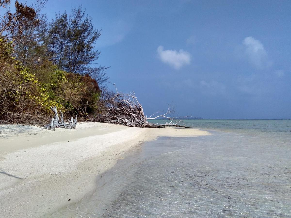 Asari Timo Cottage カリムンジャワ エクステリア 写真
